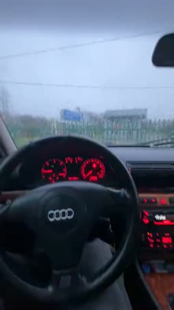 kurwa audi