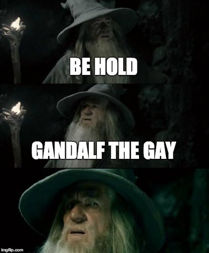 gandalf the gay