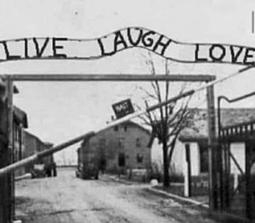 live laugh love