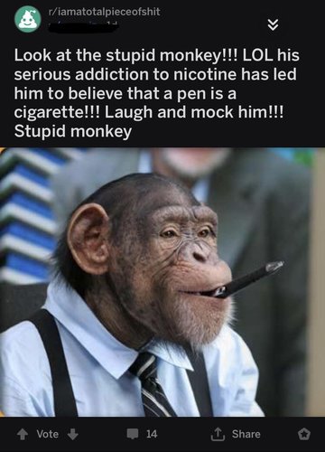 spupid monkey