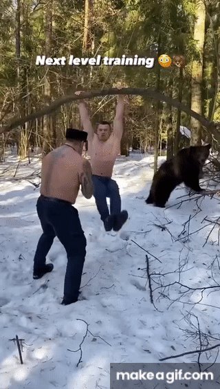 training with bear