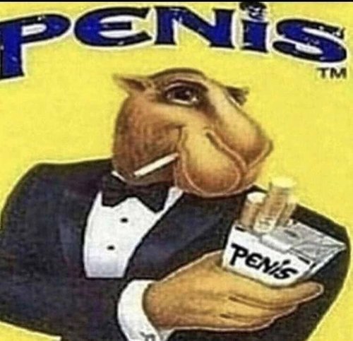 penis