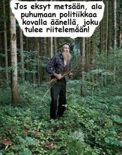 jos eksyt metsään