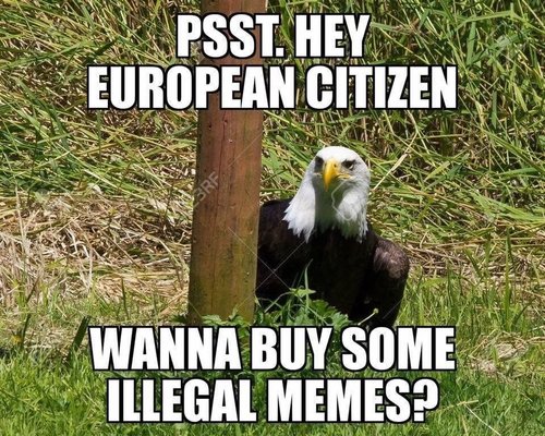 illegal memes