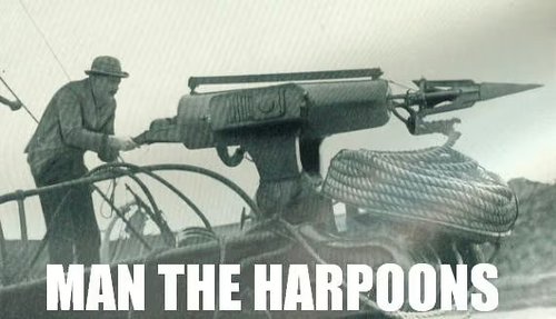 man the harpoons