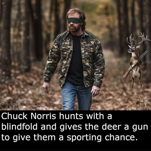 Chuck norris metsällä