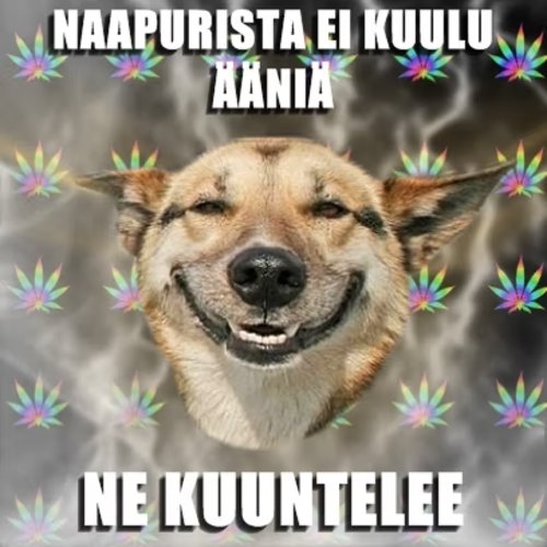 naapurin äänet