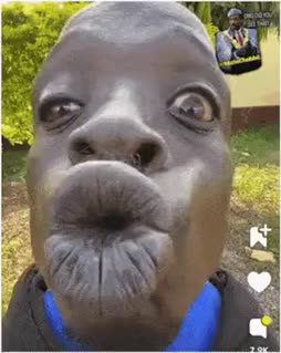 Pus pus