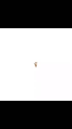 Plöö