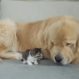 Kaverit ja ystävät :3