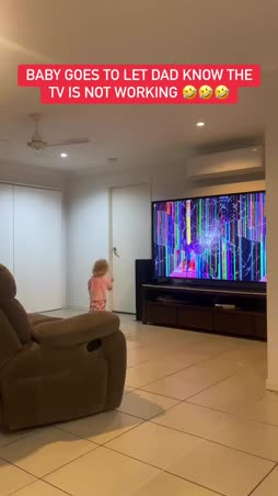 Koirat, tv, Egypti, lähi-itä, piirros