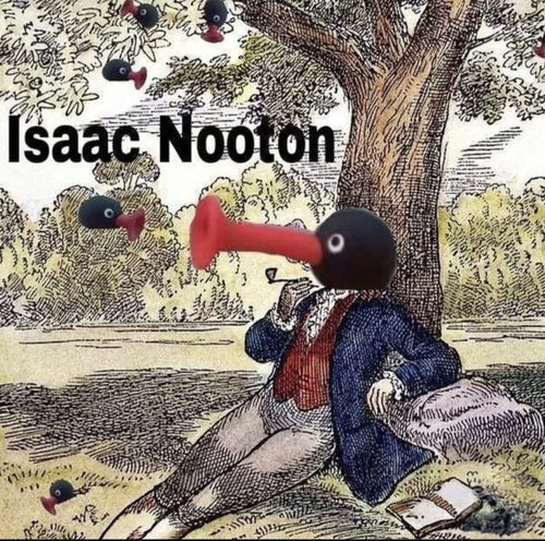 nööt nööt