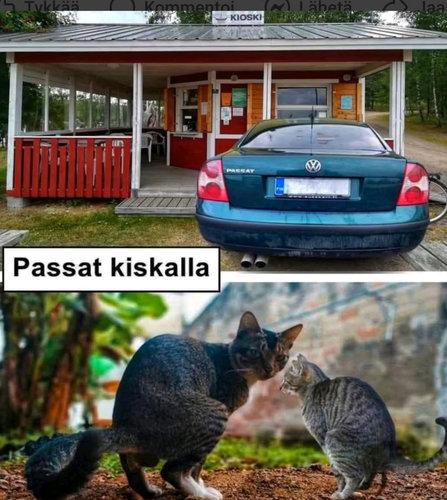 Passat kiskalla