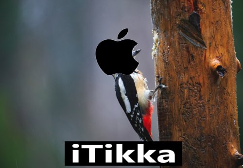 Käpy tikka :D:D:D