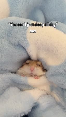 söpyli