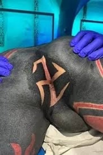 Uusi tatuointi