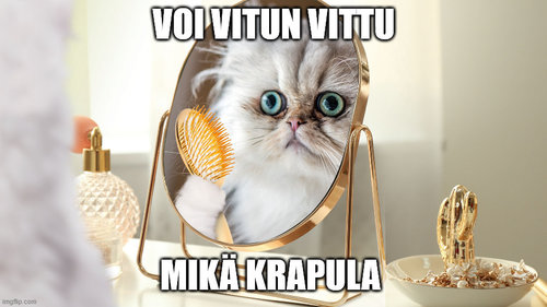 krapula kuvakommentti