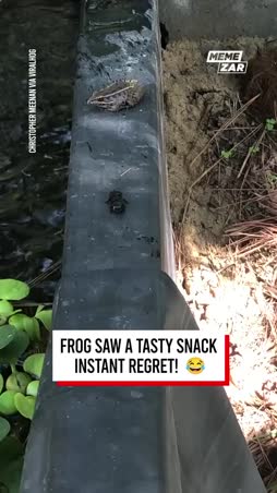 Saku ja Laku