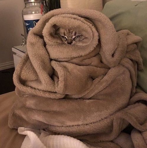 tortilla