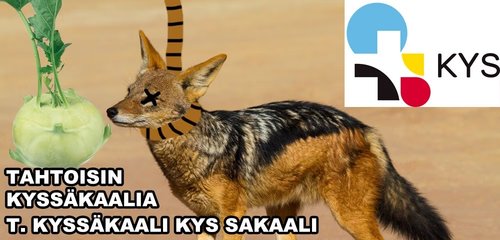 kyssäkaali