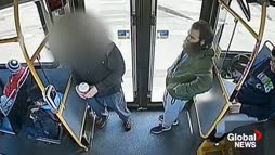 bussissa iloisia pelihetkiä