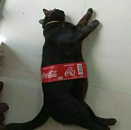 cola