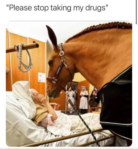 partiboi69