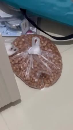 deez nuts