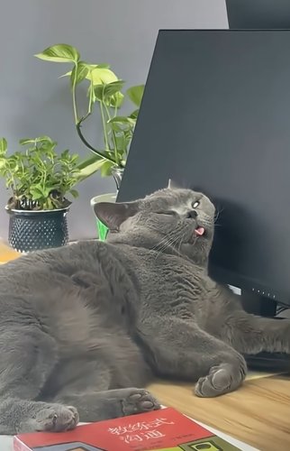 tässä on lämmin