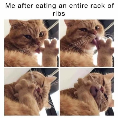 nomnom