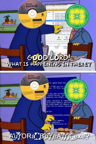 aurora borealis