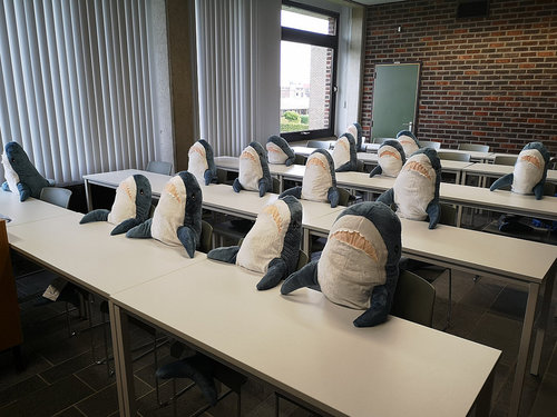 HAISCHOOL
