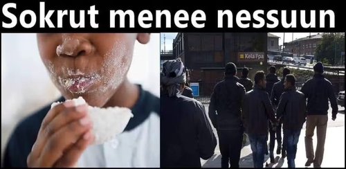 hola rasismi