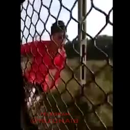 bonk