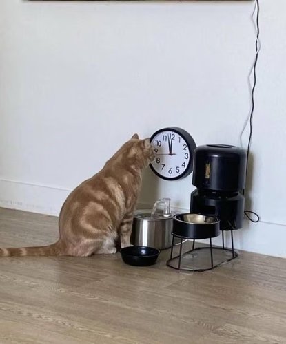 Kohta on kello pykälässään :3