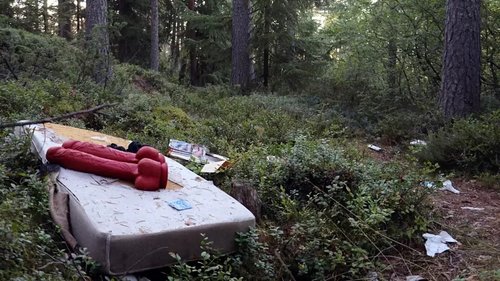 Jos metsään haluat mennä nyt..