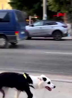 Kattokaa mun leffa!