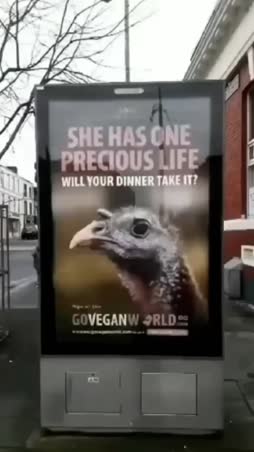 vegaani