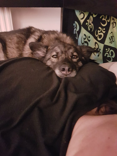 minä makaan tässä