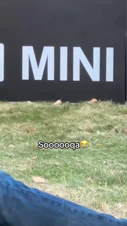 minibaari