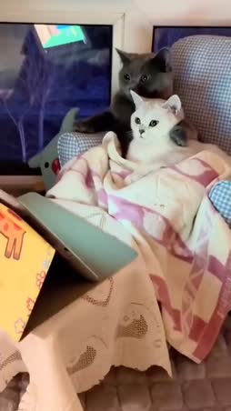 netflix & chill