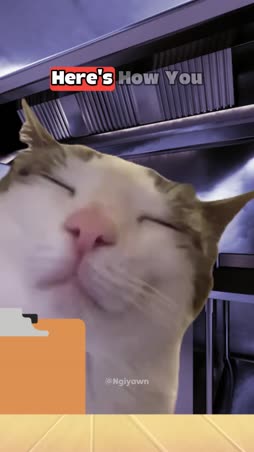 Tässä on ainakin neljä ainesosaa >:3