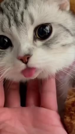 mlem