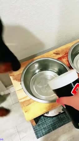 mitä helvettiä ihminen