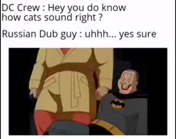 vitun vihanen kissa