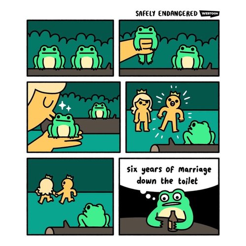 sammakko