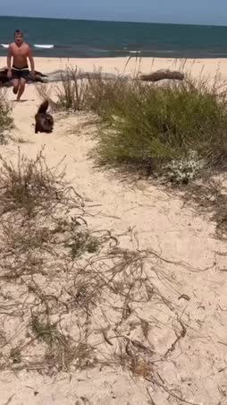 fast as fuck boii