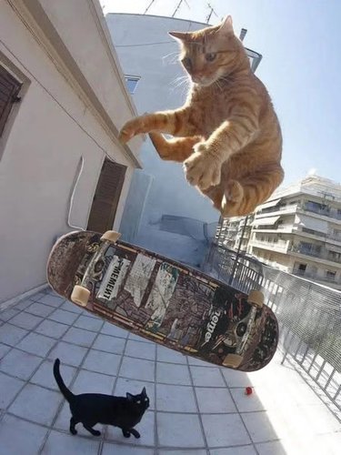 kickflip