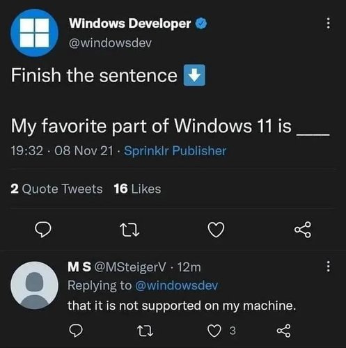 windows 11
