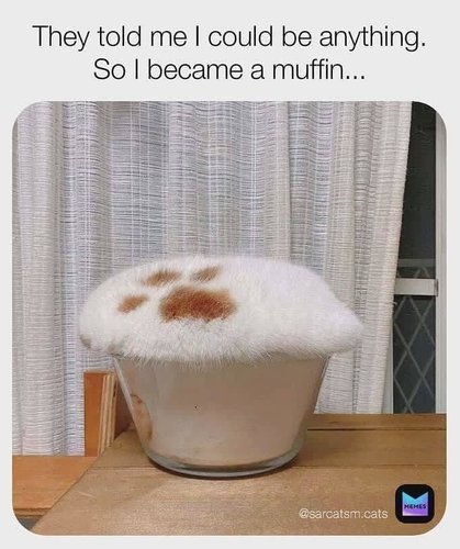 karvainen muffinssi :3